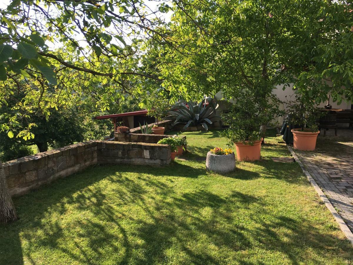 Apartments Klabjan Osp Экстерьер фото